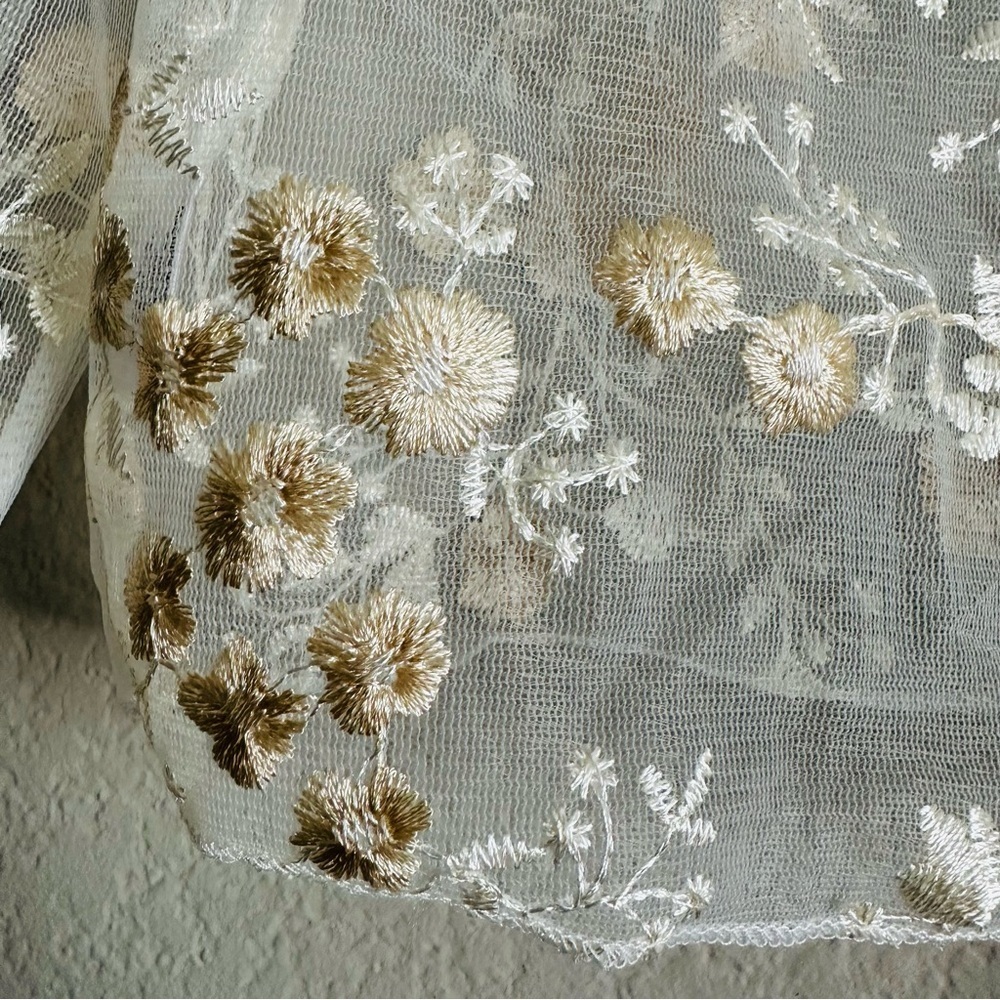 Momokrom Sheer Embroidered Floral Tie-Up Top Small Coquette Fairycore Romantic - Picture 14 of 14